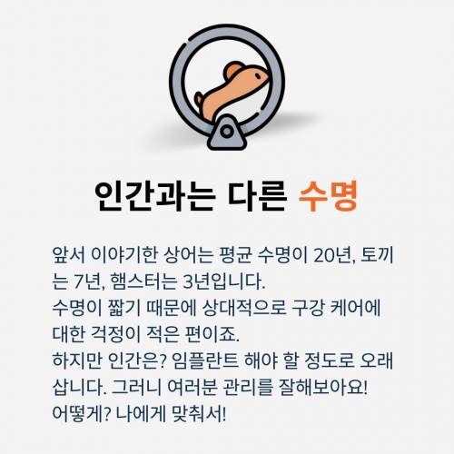 왜 야생동물들은 충치에 안걸릴까?.jpg