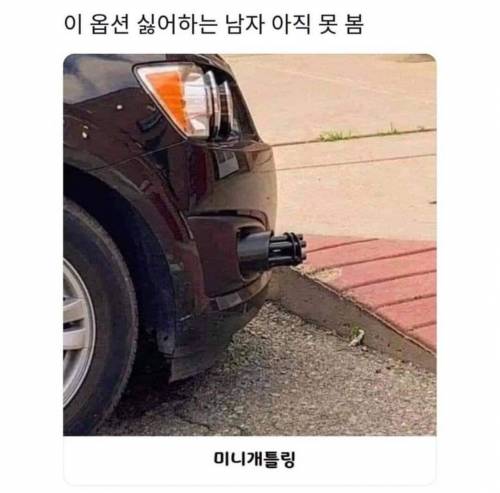 차살때 꼭 넣는 옵션.jpg