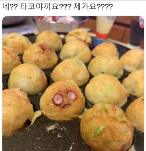 네? 제가 타코야끼라고요?