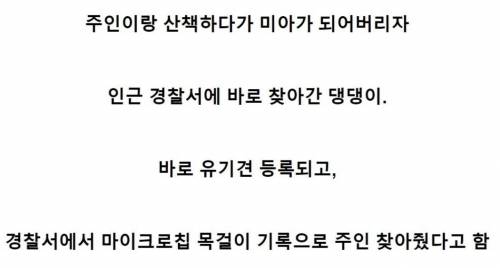 저기요, 사람을 잃어버렸어요 ㅎㅎㅎ