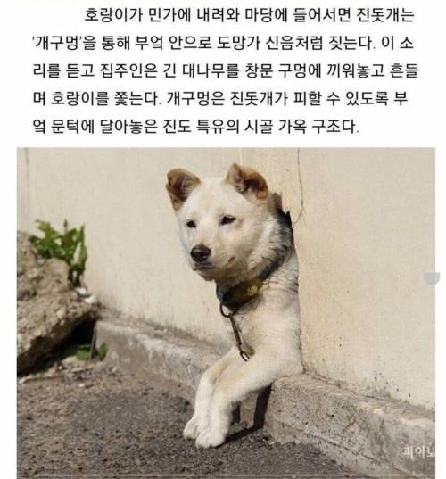 의외로 호환이 상당히 심했던 지역.jpg