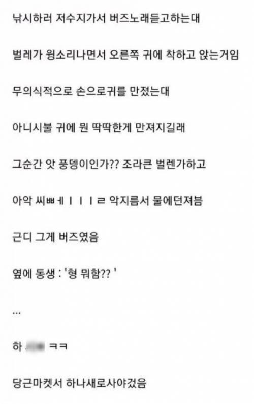 갤럭시 버즈 저수지에 던진 썰