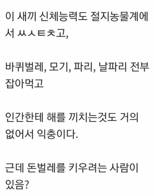 여자들이 때리는 남자보다 못생긴 남자를 더 싫어하는 이유.jpg