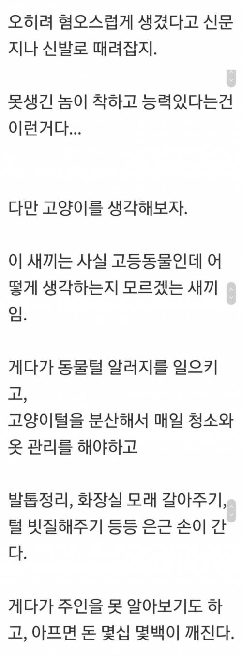 여자들이 때리는 남자보다 못생긴 남자를 더 싫어하는 이유.jpg