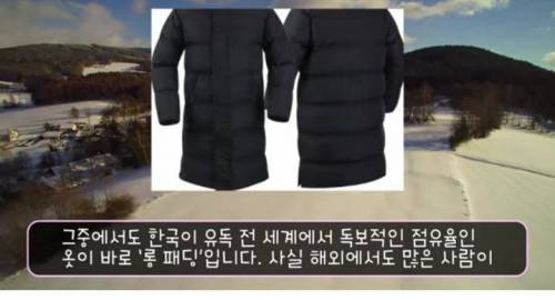 [스압] 전 세계에서 유독 "한국인만 겨울에 입는 옷"