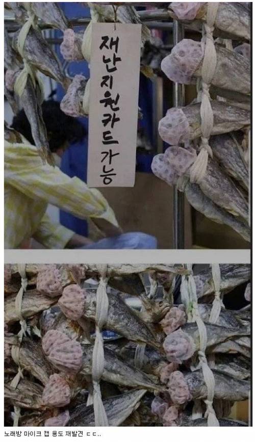 위생적으로 바뀌었다는 요즘 전통시장.jpg