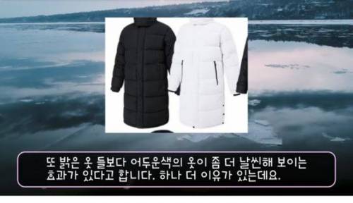 [스압] 전 세계에서 유독 "한국인만 겨울에 입는 옷"