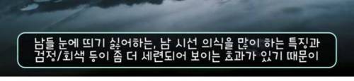 [스압] 전 세계에서 유독 "한국인만 겨울에 입는 옷"