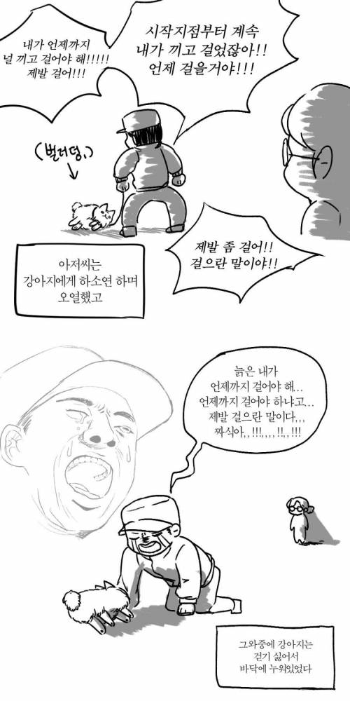 공원에서 산책하다가 갑자기 강아지한테 소리지른 아저씨.jpg