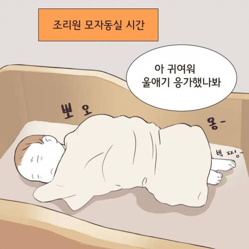 [스압] 조리원 이혼.jpg