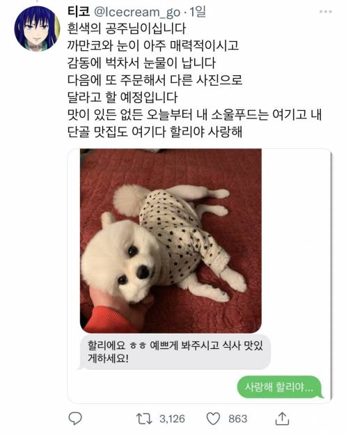 사이다를 포기하고 받은 강아지사진.jpg
