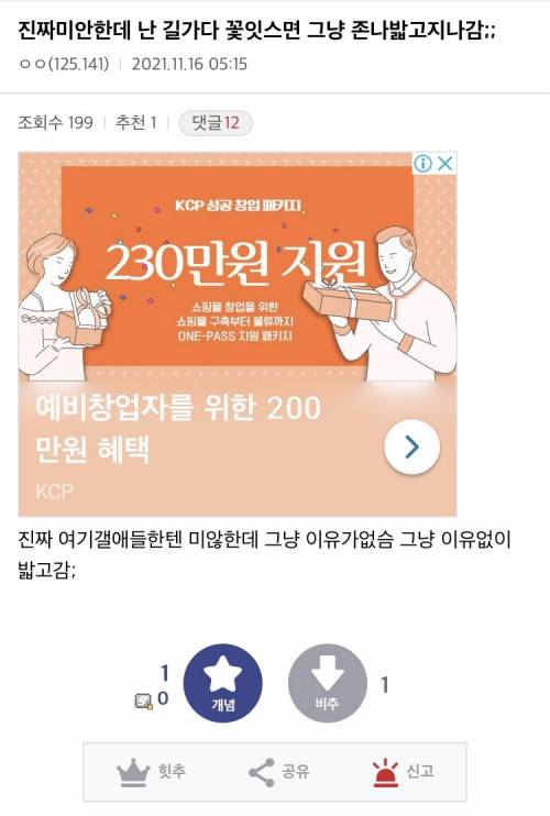 싱글벙글 식물갤의 품격...jpg