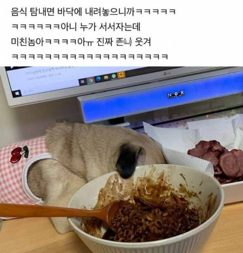 자는척 오지는 댕댕이.jpg