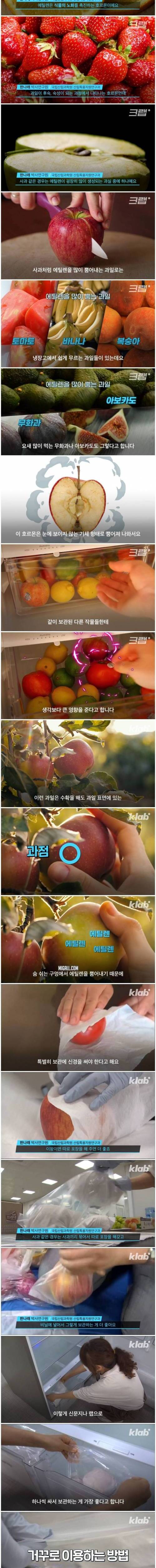 [스압] 아무 생각 없이 사과를 냉장고에 넣으면 벌어지는 일