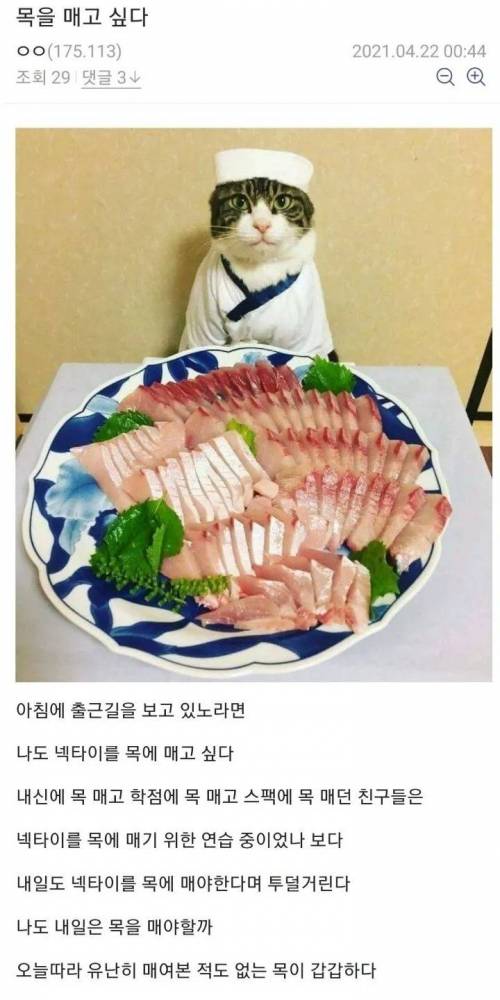 목을 매고 싶다