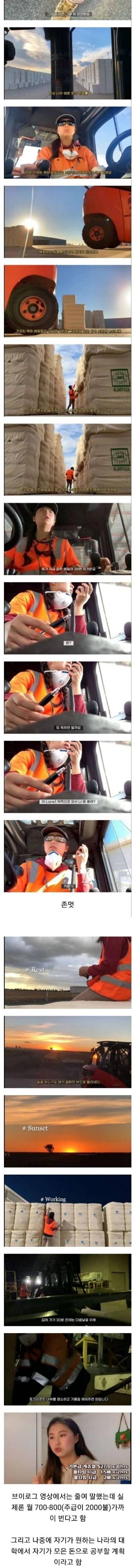 [스압] 호주 워홀가서 월800씩 번다는 유투버