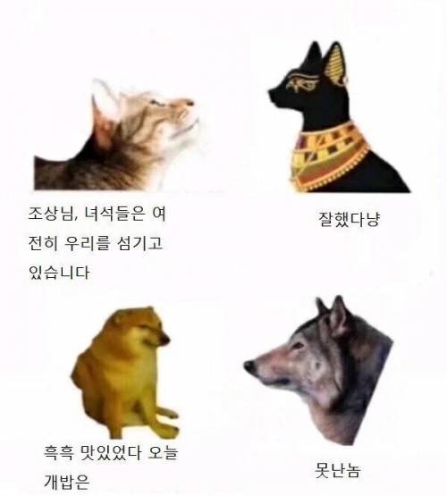 조상님들 녀석들은 여전히 우리를 섬기고 있습니다.