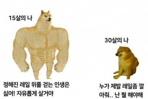 30대 되고나서 보면 공감하는 짤