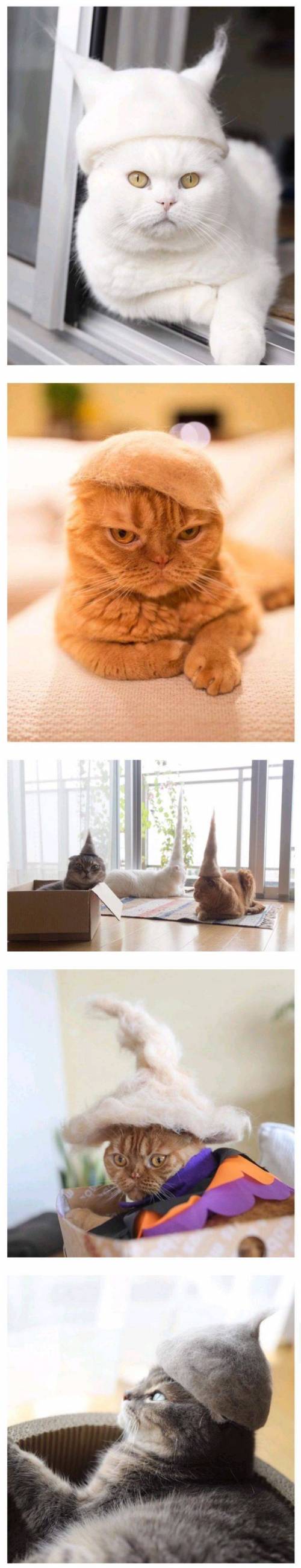 [스압] 고양이 털로 만든 귀여운 아이템.jpg