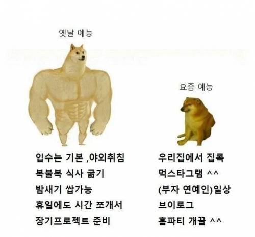 [스압] 요즘 예능이 노잼된 이유.jpg