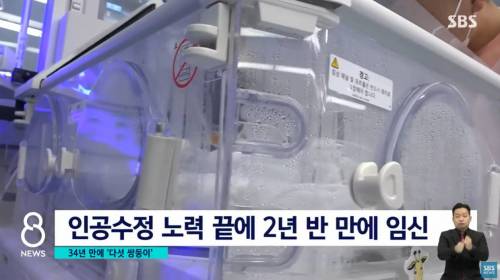 국내 34년 만에 다섯 쌍둥이 출산 ㄷㄷㄷ.jpg