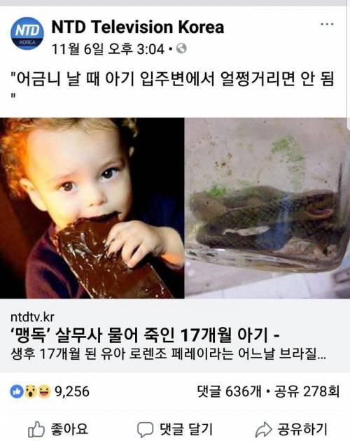 어금니 날 때 아기 입주변에서 얼쩡거리면 안됨