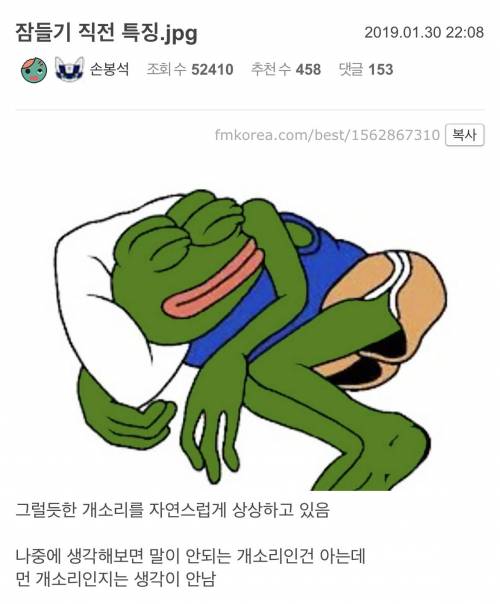 잠들기 직전 특징.jpg