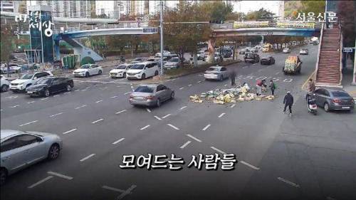 [스압] 도로에 과일이 쏟아지자 부산시민들의 행동.jpg