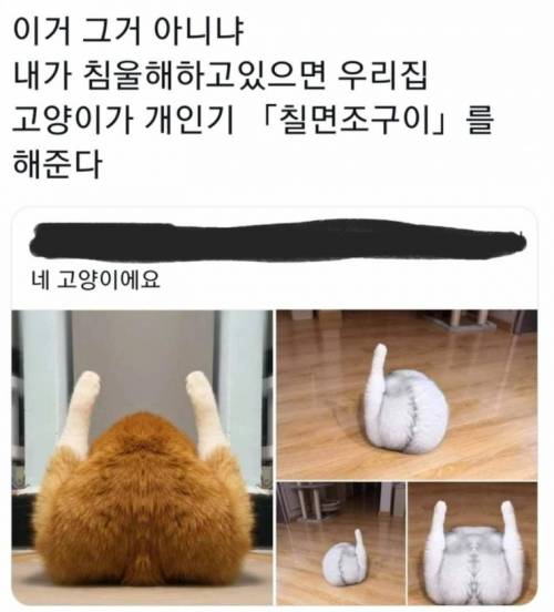 우리 고양이는 내가 우울하면 칠면조구이를 해줘요