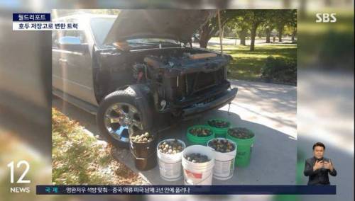 청설모 한마리가 모아둔 호두들.jpg