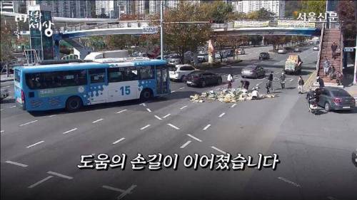 [스압] 도로에 과일이 쏟아지자 부산시민들의 행동.jpg