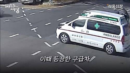 [스압] 도로에 과일이 쏟아지자 부산시민들의 행동.jpg