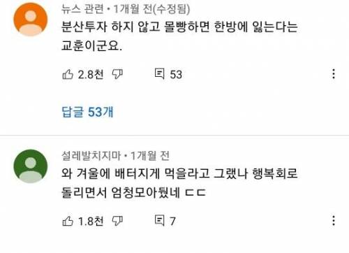 청설모 한마리가 모아둔 호두들.jpg