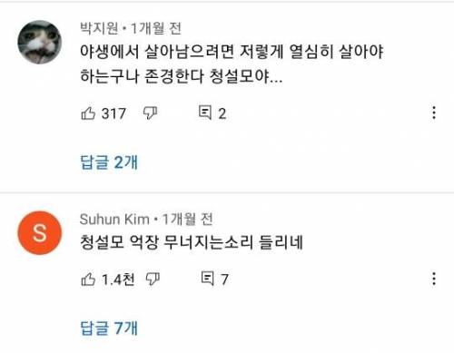 청설모 한마리가 모아둔 호두들.jpg