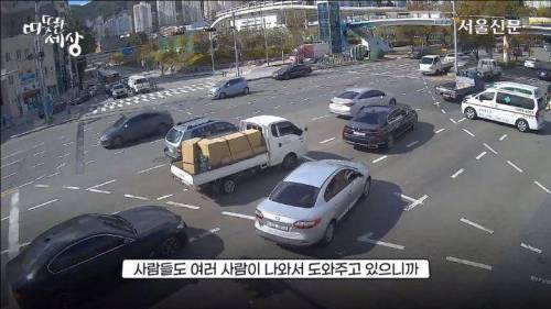 [스압] 도로에 과일이 쏟아지자 부산시민들의 행동.jpg