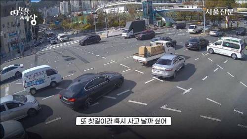 [스압] 도로에 과일이 쏟아지자 부산시민들의 행동.jpg