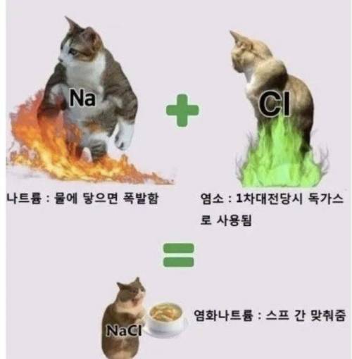 오묘한 화학의 세계.jpg