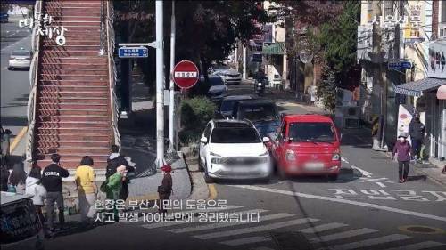 [스압] 도로에 과일이 쏟아지자 부산시민들의 행동.jpg