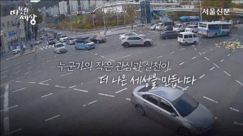 [스압] 도로에 과일이 쏟아지자 부산시민들의 행동.jpg