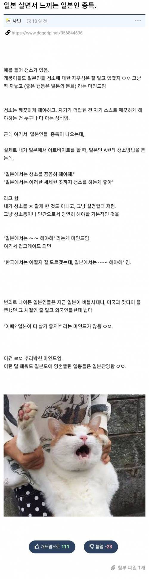 일본 살면서 느낀 일본인 종특