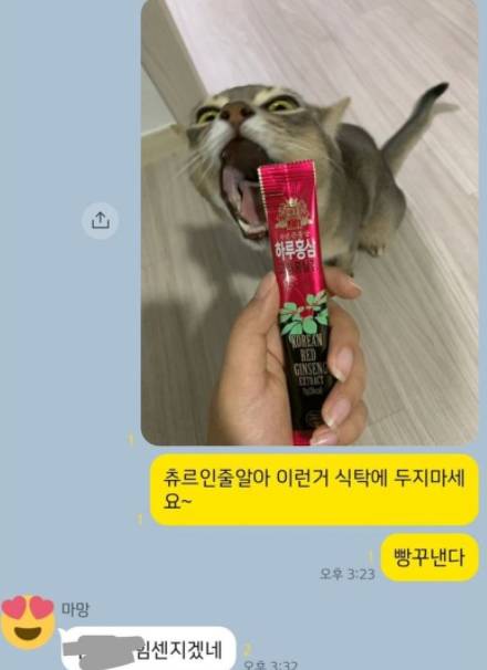 츄르(고양이간식)로 착각하기 쉬운 것.jpg