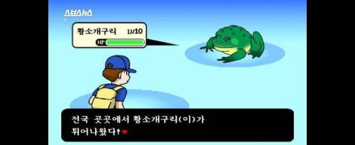 [스압] 그 많던 황소개구리는 누가 다 먹었을까?.jpg