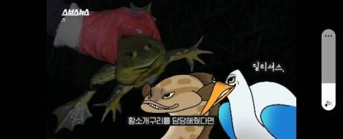 [스압] 그 많던 황소개구리는 누가 다 먹었을까?.jpg