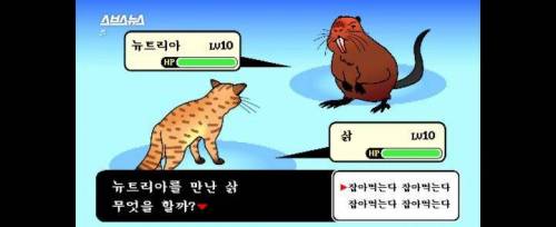 [스압] 그 많던 황소개구리는 누가 다 먹었을까?.jpg