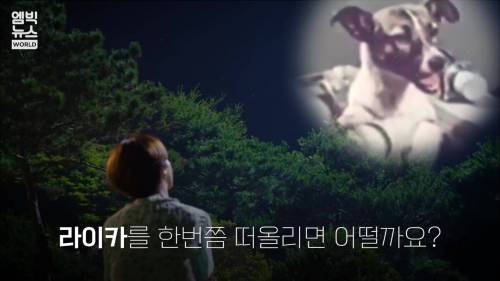 [스압] 64년전 지구를 떠난 개 .jpg