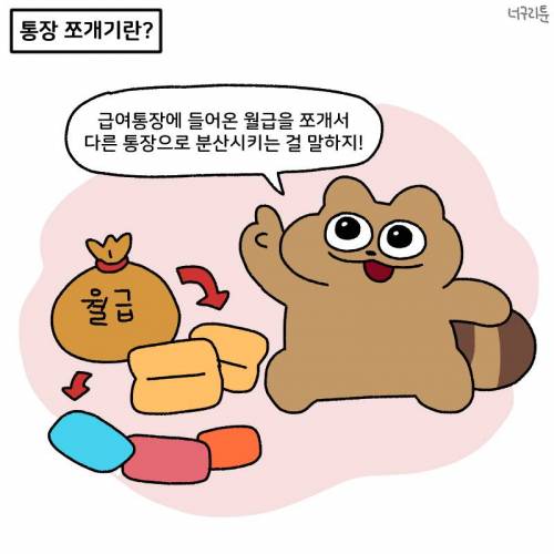 사회 초년생을 위한 통장 쪼개기 꿀팁