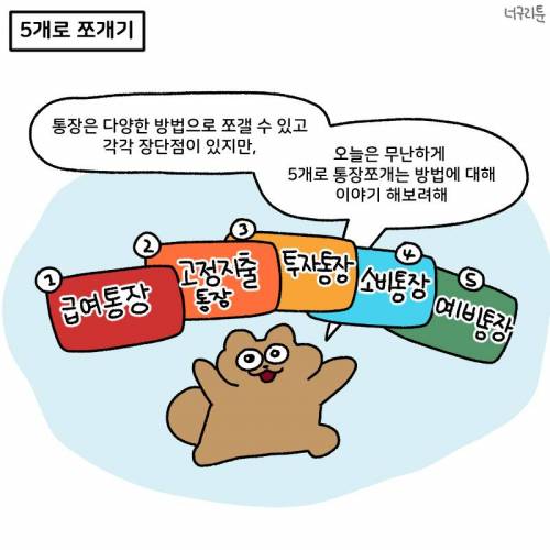 사회 초년생을 위한 통장 쪼개기 꿀팁