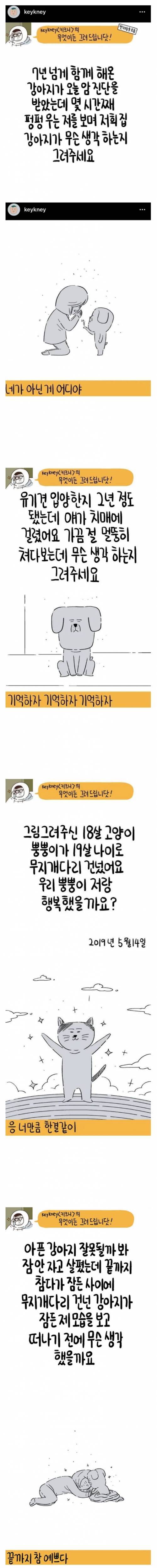 [스압] 저희 반려견이 세상을 떠났어요.....jpg