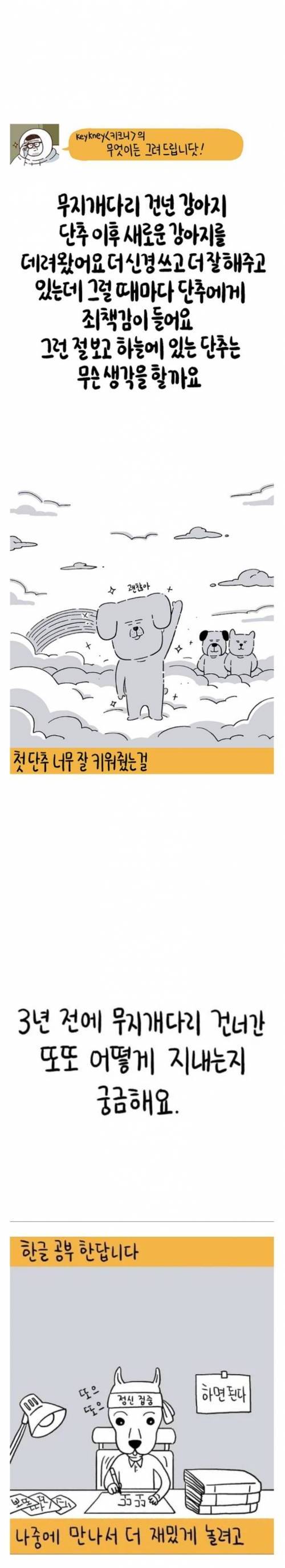 [스압] 저희 반려견이 세상을 떠났어요.....jpg