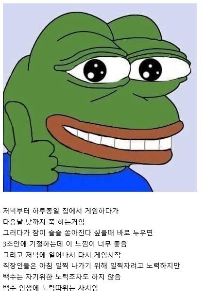 백수 인생의 하루 패턴.